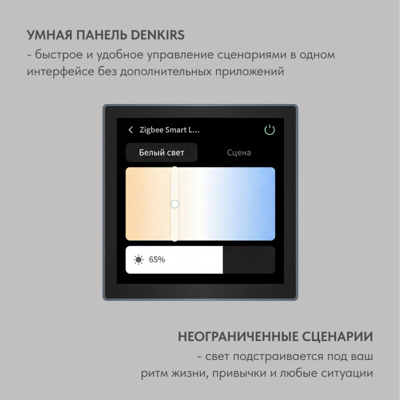 Трековая система SMART 48V  Денкирс Рус,ООО(2127)
